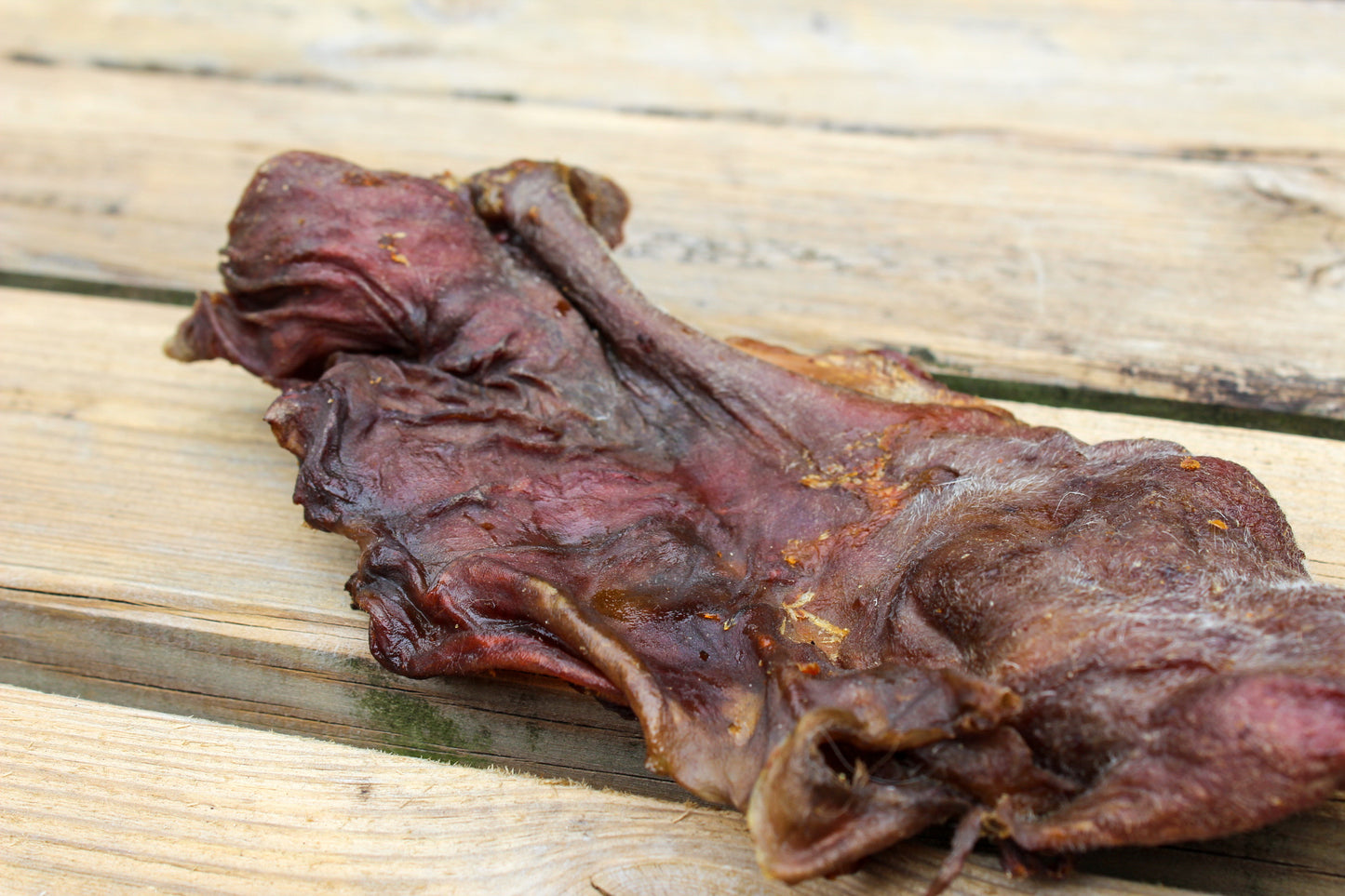 Paardensnuit