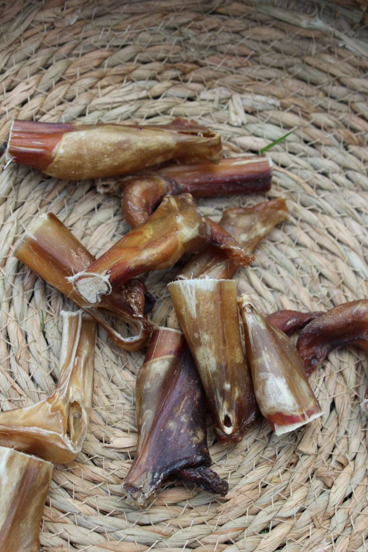 Bullepeespuntjes