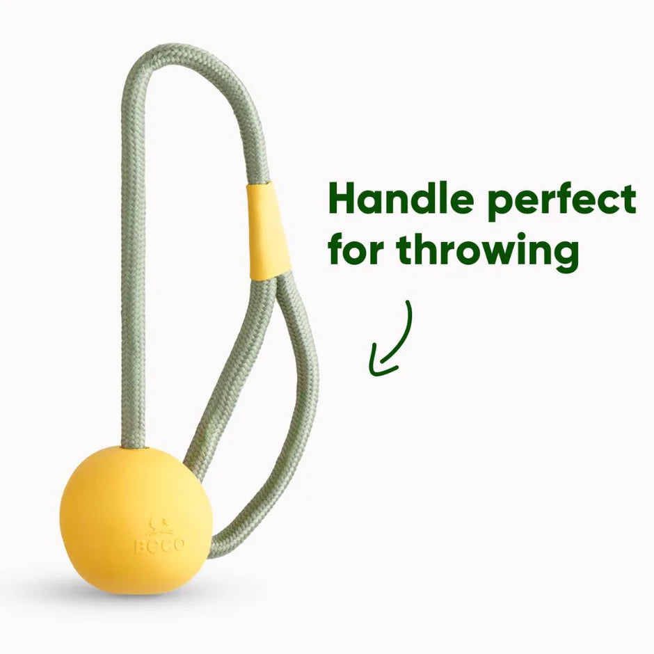Slinger Ball - Beco