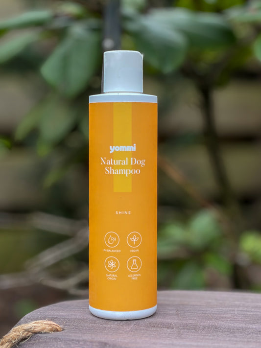 Natural Dog Shampoo Shine - 250 ml