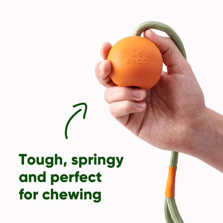 Slinger Ball - Beco