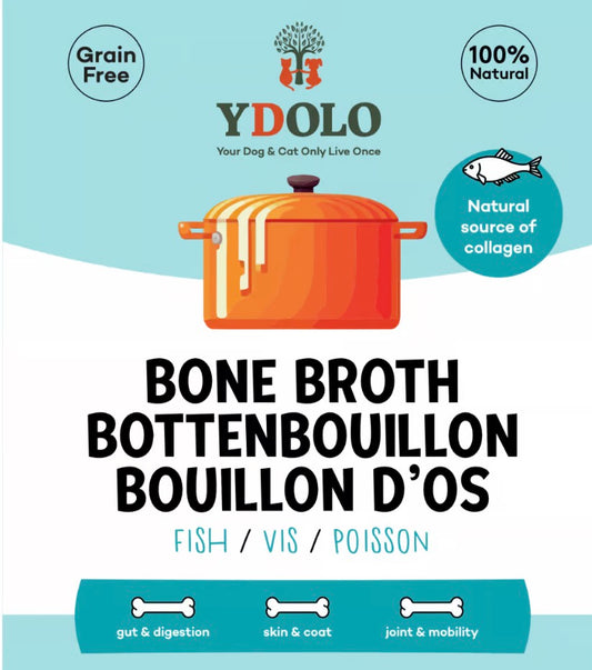 Bottenbouillon Vis