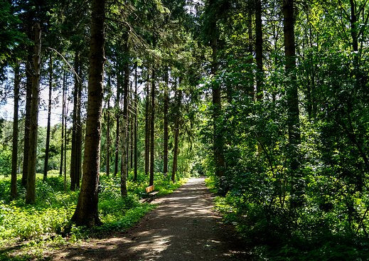 Bussumerheide