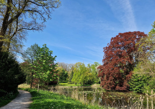 Baarnse Bos en Lage Vuursche